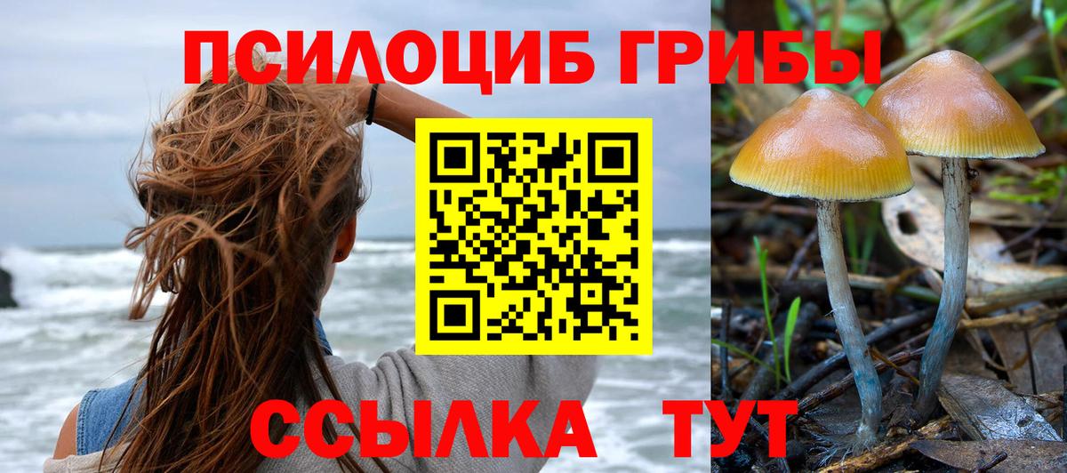 Галлюциногенные грибы Magic Shrooms  Вход с VPN  Валуйки 
